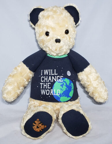 13 - BearyHuggables_I will change the world with tiger memory bear