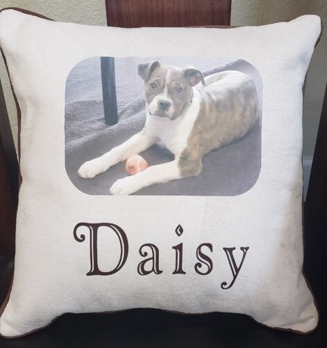 97-Beary Huggables_14 x 14 Daisy Memory Pillow